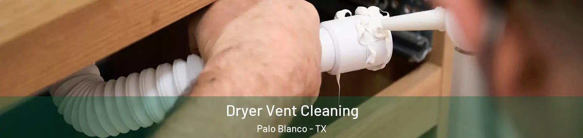 Dryer Vent Cleaning Palo Blanco - TX