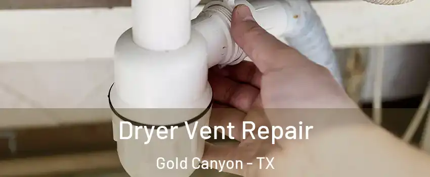 Dryer Vent Repair Gold Canyon - TX