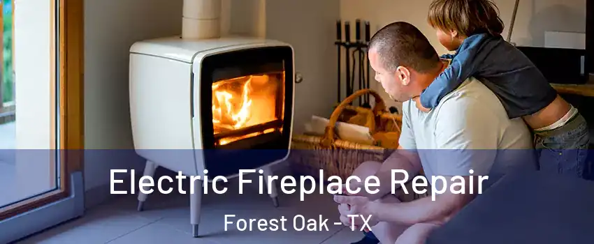 Electric Fireplace Repair Forest Oak - TX