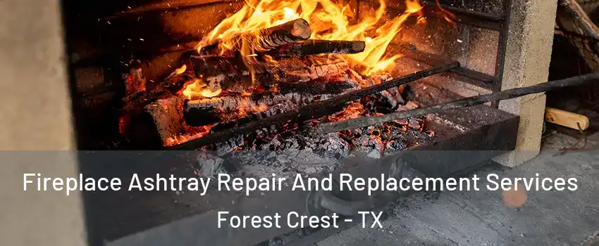 Fireplace Ashtray Repair And Replacement Services Forest Crest - TX