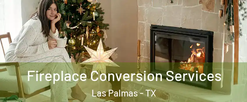 Fireplace Conversion Services Las Palmas - TX