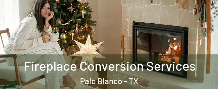 Fireplace Conversion Services Palo Blanco - TX