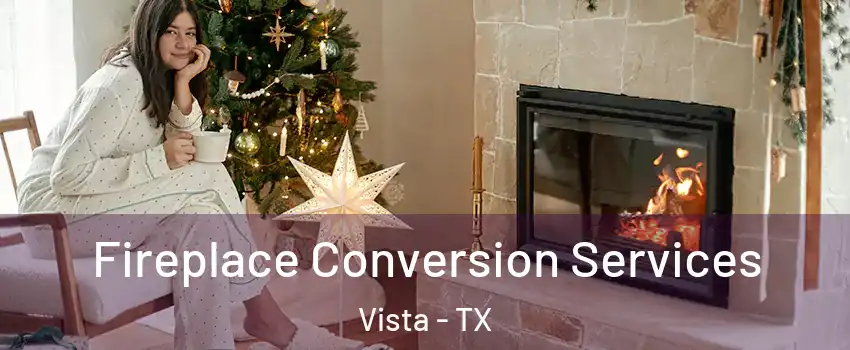 Fireplace Conversion Services Vista - TX