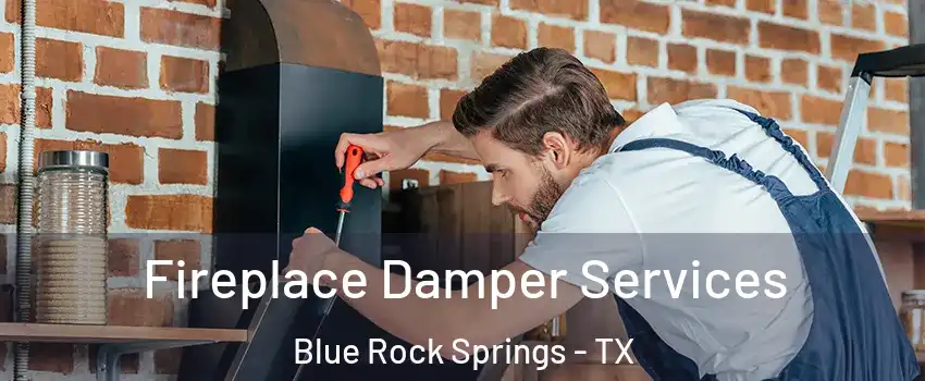 Fireplace Damper Services Blue Rock Springs - TX