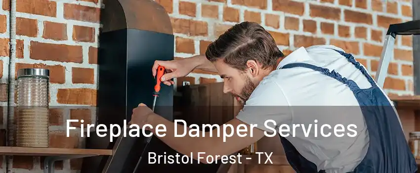 Fireplace Damper Services Bristol Forest - TX