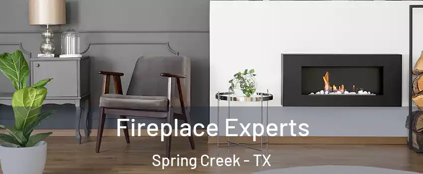 Fireplace Experts Spring Creek - TX