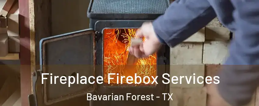 Fireplace Firebox Services Bavarian Forest - TX