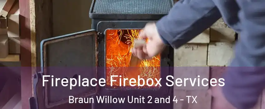 Fireplace Firebox Services Braun Willow Unit 2 and 4 - TX