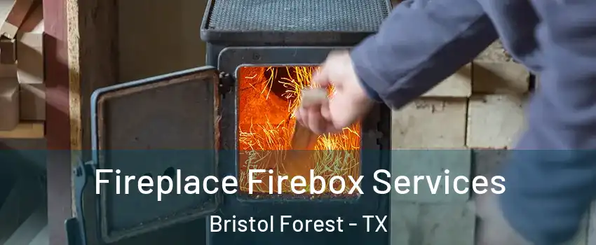 Fireplace Firebox Services Bristol Forest - TX