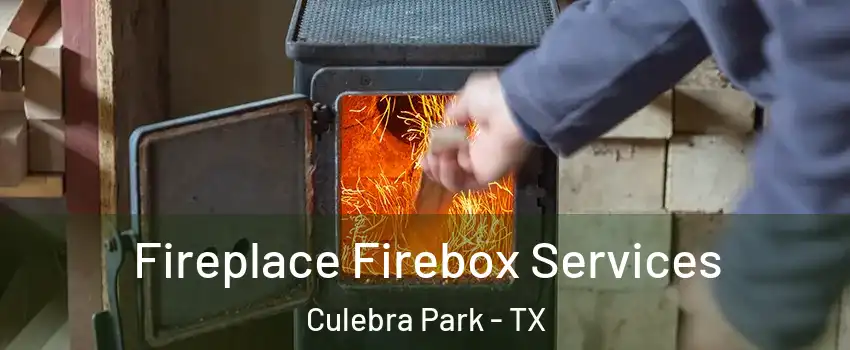 Fireplace Firebox Services Culebra Park - TX