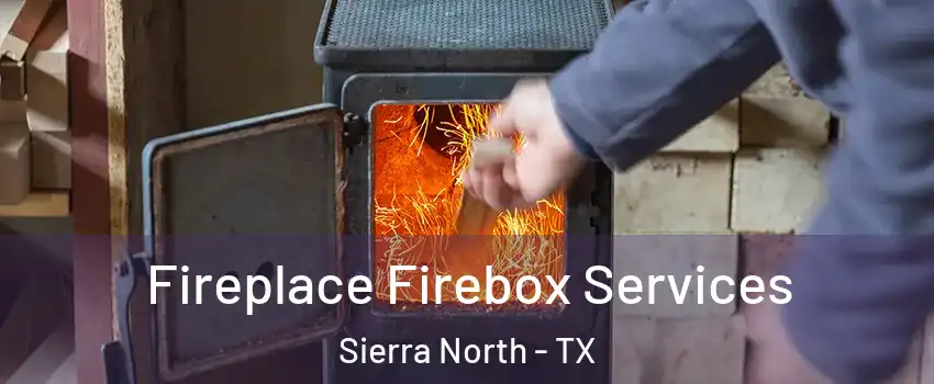 Fireplace Firebox Services Sierra North - TX