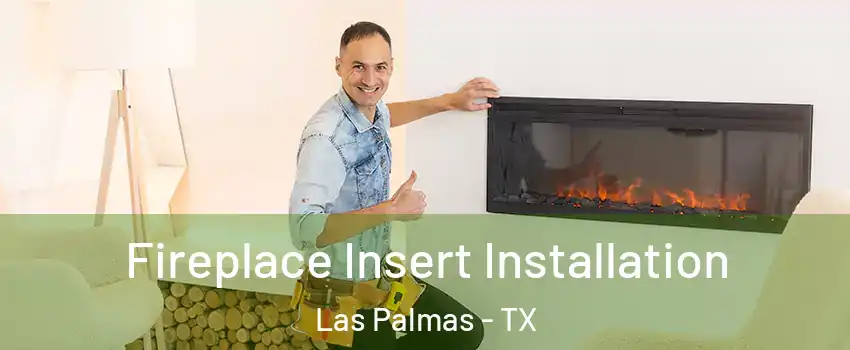 Fireplace Insert Installation Las Palmas - TX