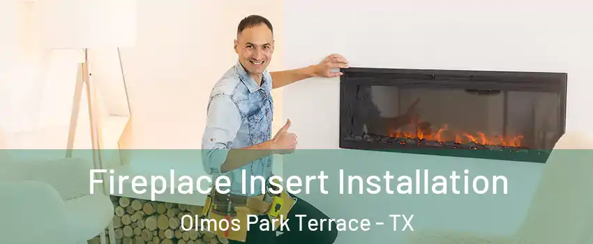 Fireplace Insert Installation Olmos Park Terrace - TX