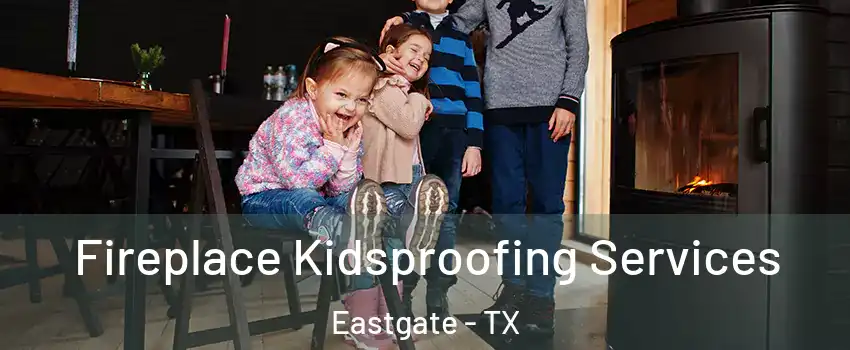 Fireplace Kidsproofing Services Eastgate - TX