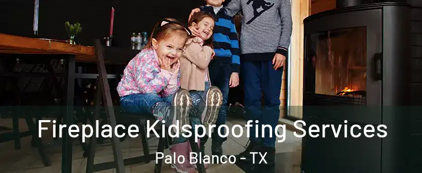 Fireplace Kidsproofing Services Palo Blanco - TX