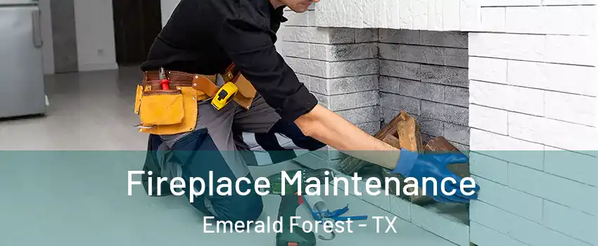 Fireplace Maintenance Emerald Forest - TX