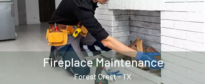 Fireplace Maintenance Forest Crest - TX