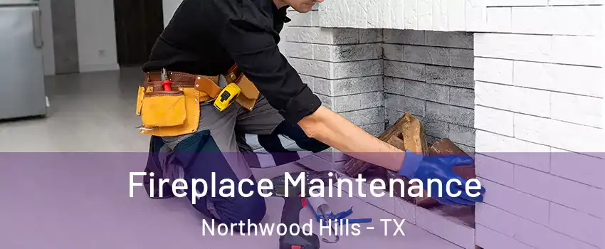 Fireplace Maintenance Northwood Hills - TX