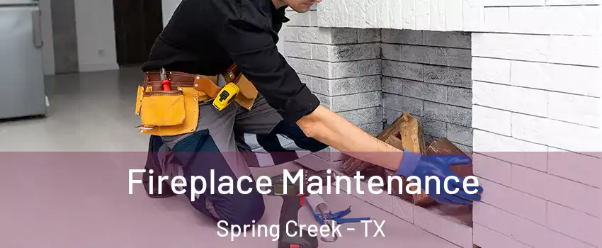 Fireplace Maintenance Spring Creek - TX