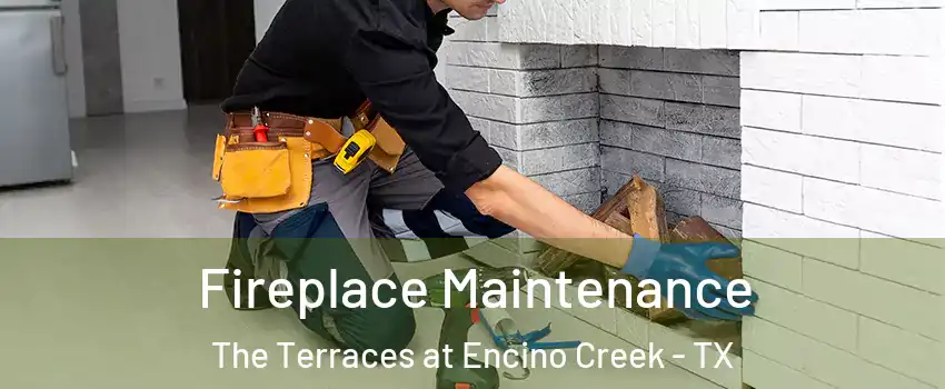 Fireplace Maintenance The Terraces at Encino Creek - TX