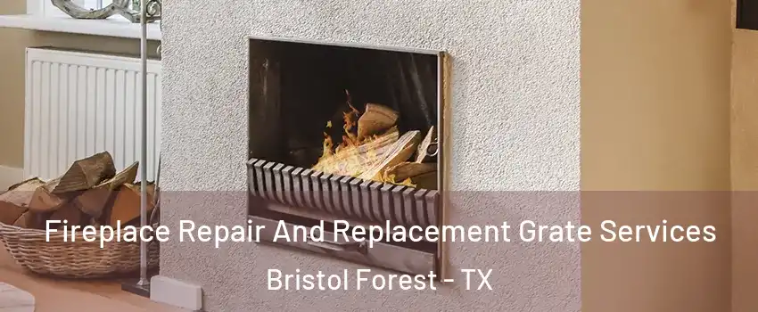 Fireplace Repair And Replacement Grate Services Bristol Forest - TX