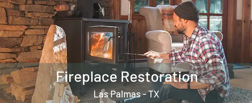 Fireplace Restoration Las Palmas - TX