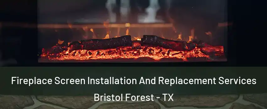 Fireplace Screen Installation And Replacement Services Bristol Forest - TX