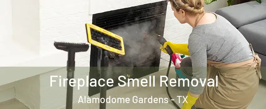 Fireplace Smell Removal Alamodome Gardens - TX