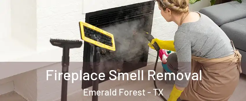 Fireplace Smell Removal Emerald Forest - TX