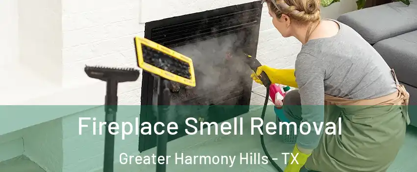 Fireplace Smell Removal Greater Harmony Hills - TX