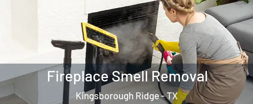 Fireplace Smell Removal Kingsborough Ridge - TX