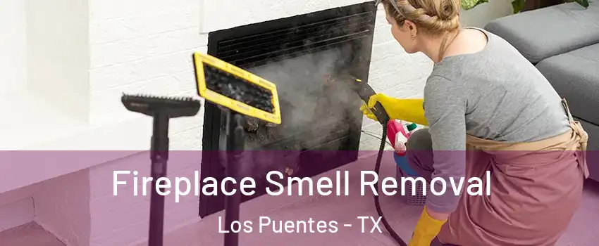 Fireplace Smell Removal Los Puentes - TX