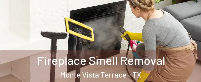 Fireplace Smell Removal Monte Vista Terrace - TX