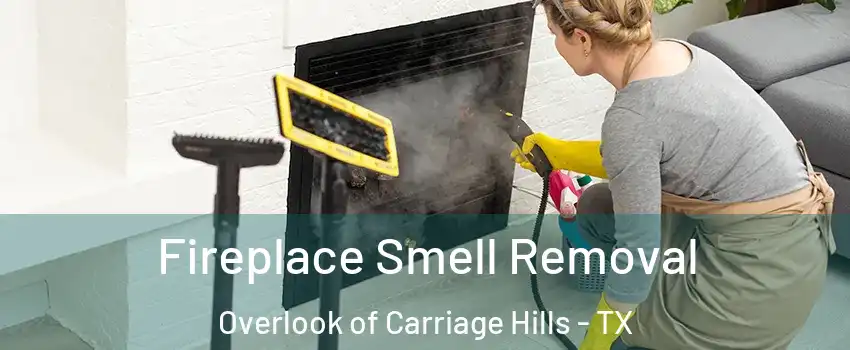 Fireplace Smell Removal Overlook of Carriage Hills - TX