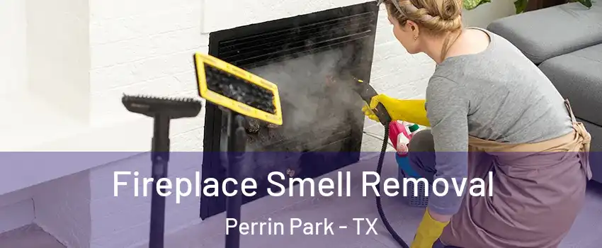 Fireplace Smell Removal Perrin Park - TX