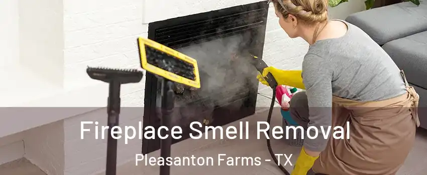 Fireplace Smell Removal Pleasanton Farms - TX