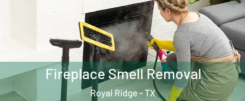 Fireplace Smell Removal Royal Ridge - TX