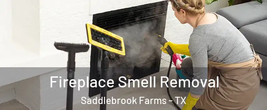 Fireplace Smell Removal Saddlebrook Farms - TX