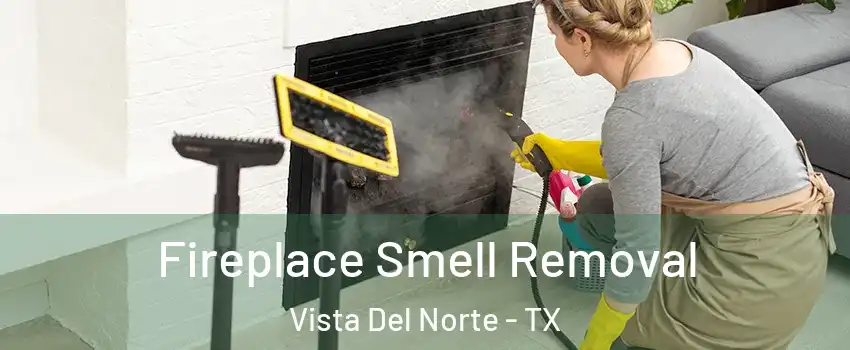 Fireplace Smell Removal Vista Del Norte - TX