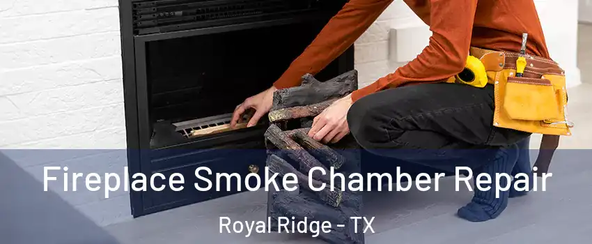 Fireplace Smoke Chamber Repair Royal Ridge - TX