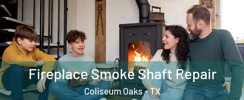 Fireplace Smoke Shaft Repair Coliseum Oaks - TX