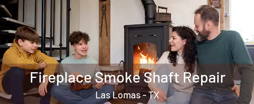 Fireplace Smoke Shaft Repair Las Lomas - TX