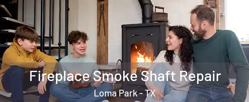 Fireplace Smoke Shaft Repair Loma Park - TX