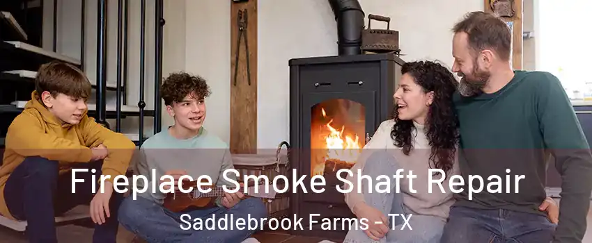 Fireplace Smoke Shaft Repair Saddlebrook Farms - TX