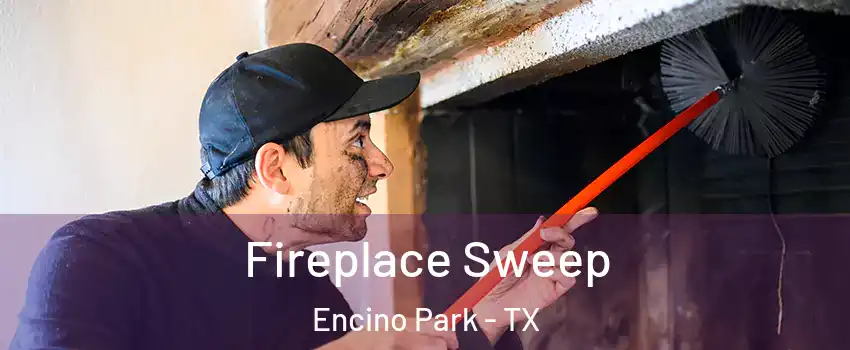 Fireplace Sweep Encino Park - TX