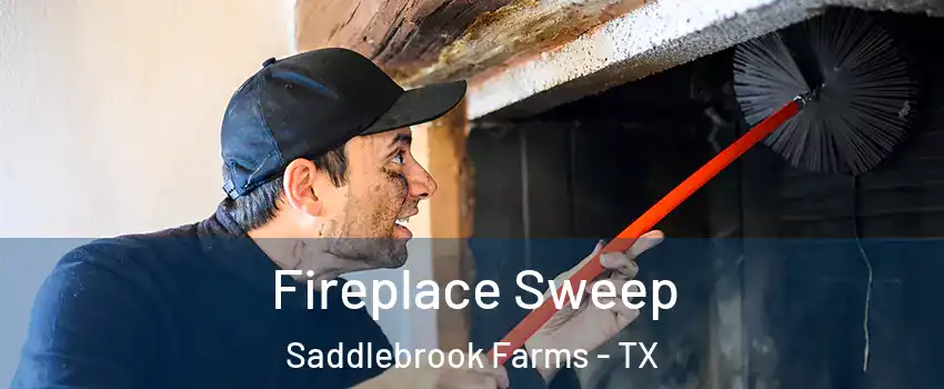 Fireplace Sweep Saddlebrook Farms - TX