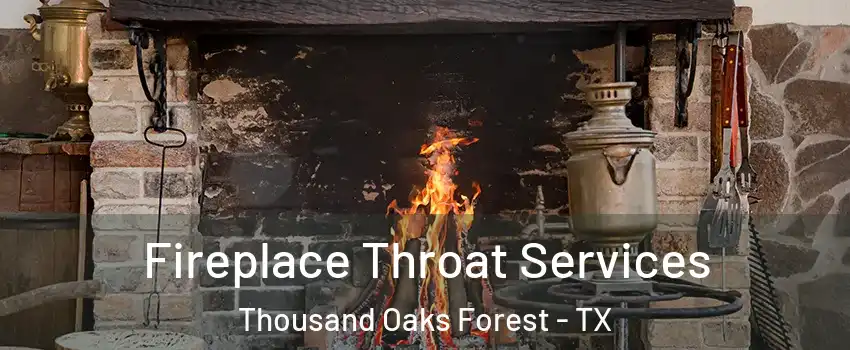 Fireplace Throat Services Thousand Oaks Forest - TX