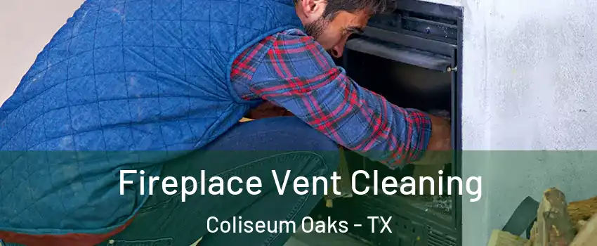 Fireplace Vent Cleaning Coliseum Oaks - TX