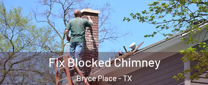 Fix Blocked Chimney Bryce Place - TX