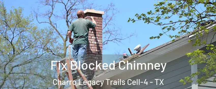 Fix Blocked Chimney Charro Legacy Trails Cell-4 - TX